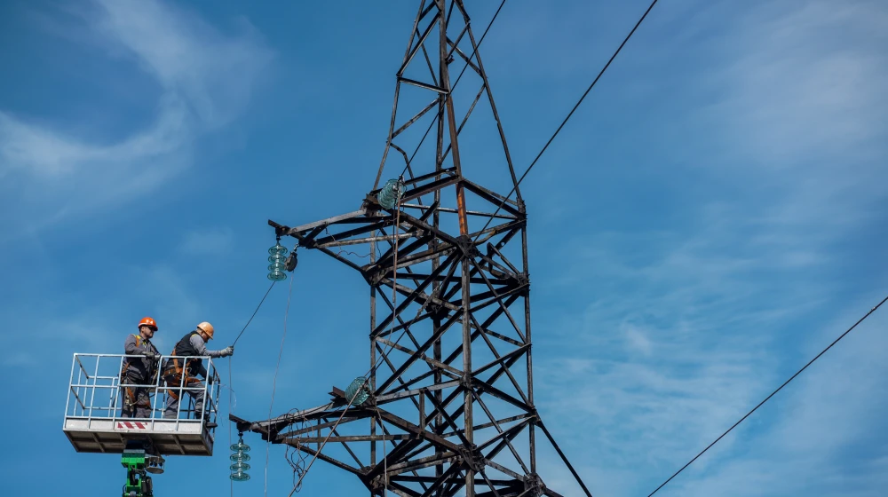 Power line maintenance