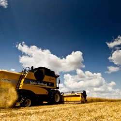 Al Jazeera reports from a HarvEast farm: Ukraine's harvested grain has nowhere to go