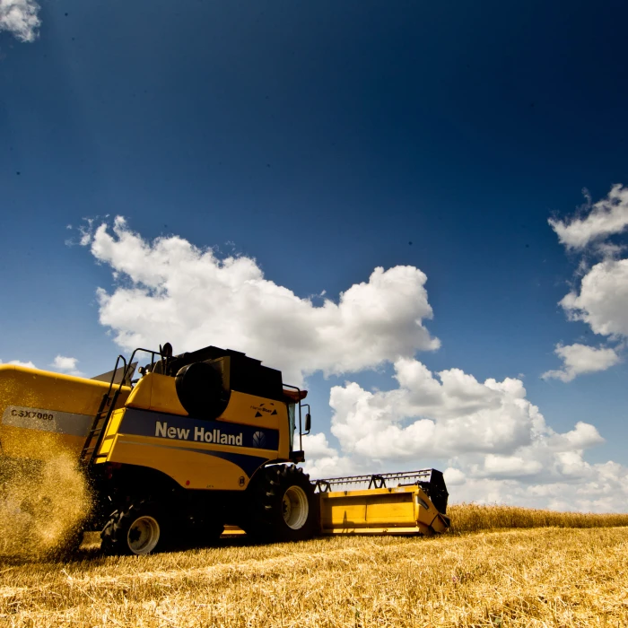 Al Jazeera reports from a HarvEast farm: Ukraine's harvested grain has nowhere to go