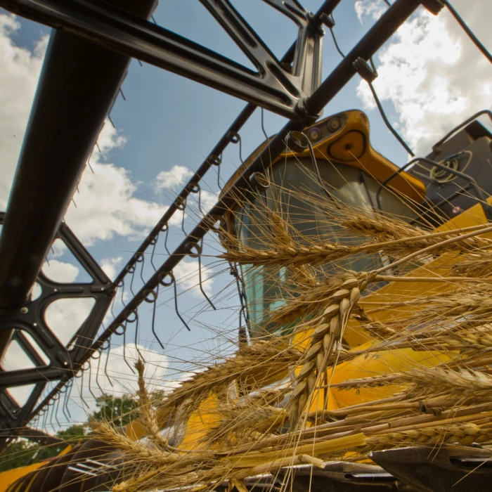 Business Resilience in Wartime: HarvEast