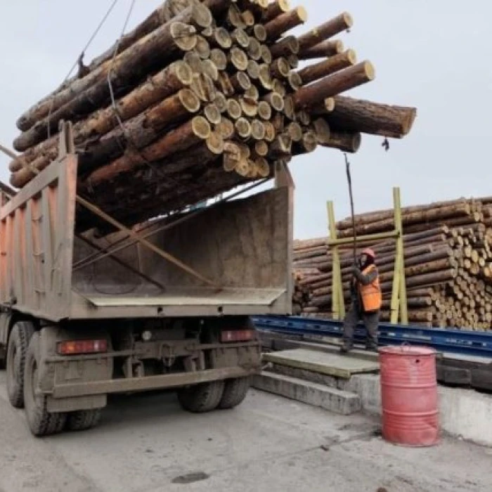 DTEK Energy provides 4,000 m3 of wood to the frontlines to fortify and heat positions