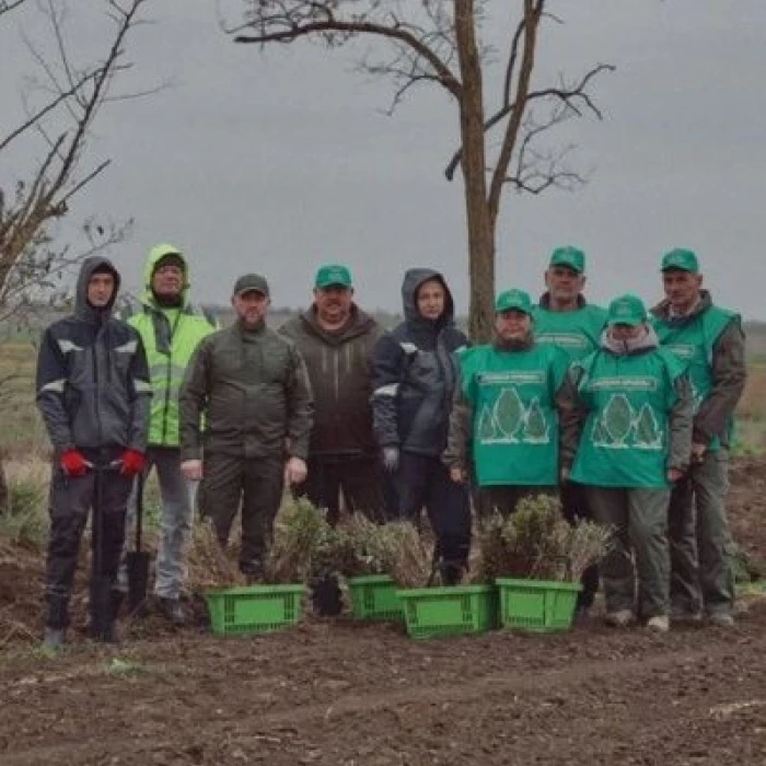 Tree planting by volunteers with saplings