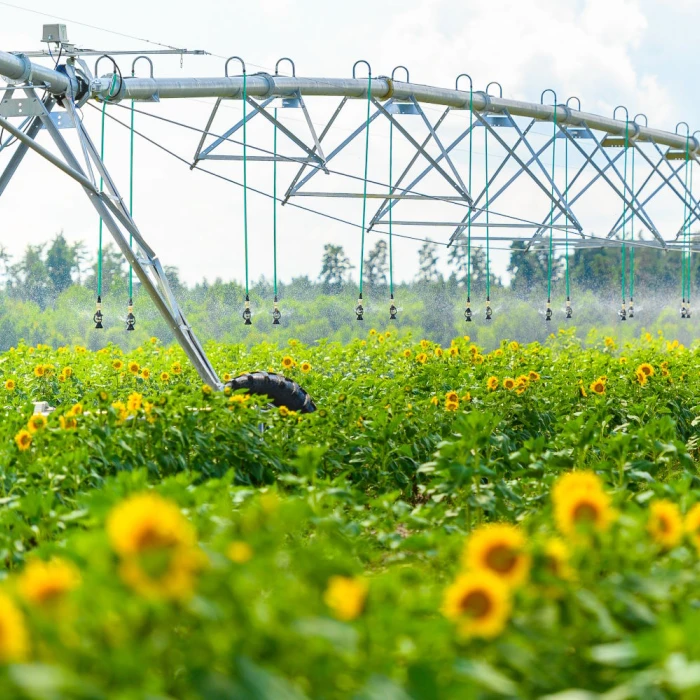 HarvEast Irrigation system in Kyiv oblast