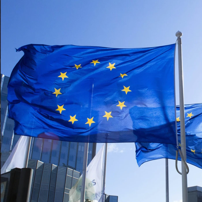 Europe Day 2026: gratitude and capability