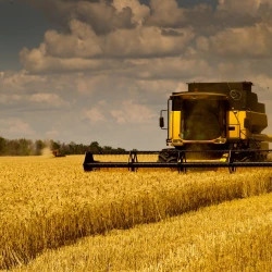 FUIB launches financing from 0.01% for Ukrainian farmers ahead of the sowing season