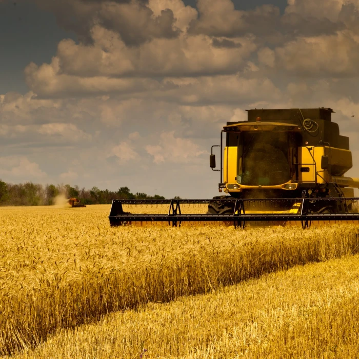 FUIB launches financing from 0.01% for Ukrainian farmers ahead of the sowing season